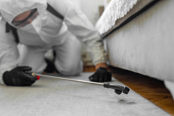 Professional Bed Bug Control technician working in Red River County County, TX